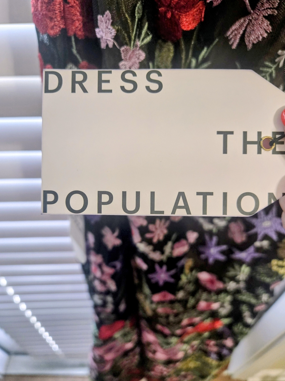 Dress the Population Black Maxi Dress with Floral Embroidery Accents - Picture 5 of 7